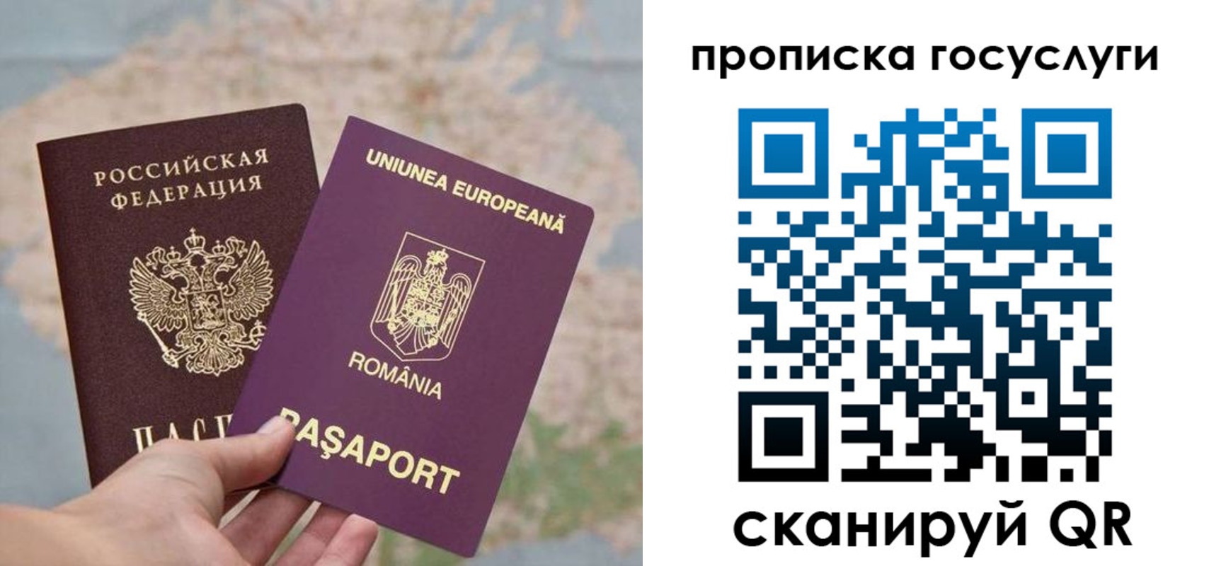 прописка паспорт в Плавске